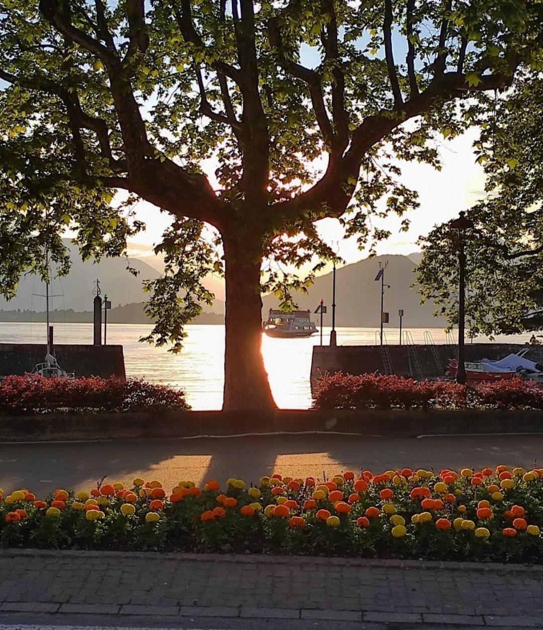 Lily Lake Maggiore Laveno-Mombello Eksteriør bilde